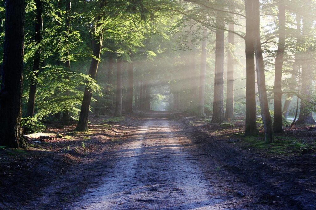 Mullerthal Trail: rotsformaties en watervallen in Klein Zwitserland, Luxemburg